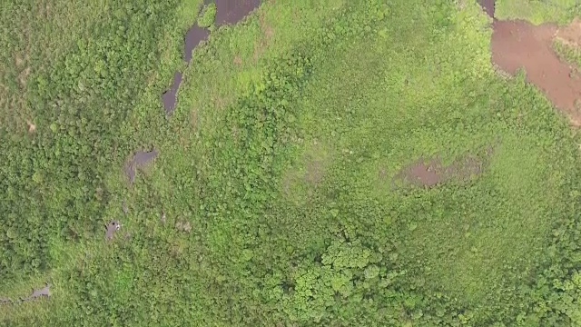 鸟瞰图湿地在塞拉多地区-戈亚斯，巴西视频素材