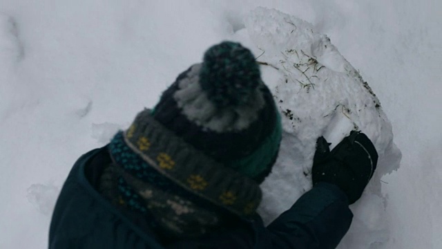 孩子们在打雪仗，堆雪人，在雪中嬉戏视频素材