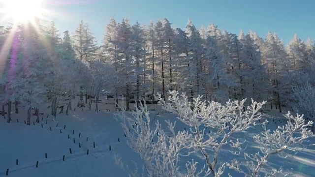 韩白山(江原道省东部最高的山)雪景鸟瞰图视频素材