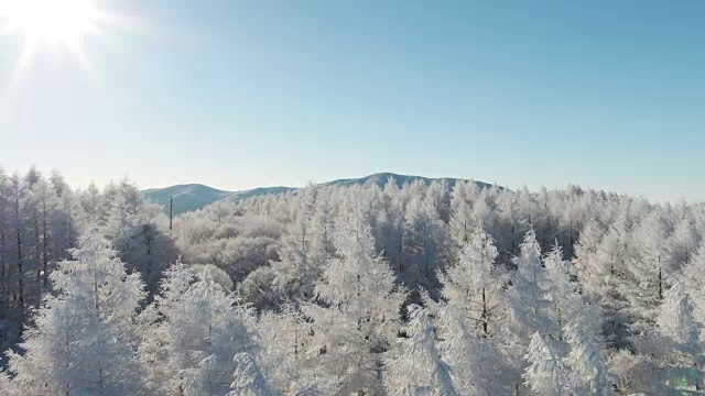 韩白山(江原道省东部最高的山)雪景鸟瞰图视频素材