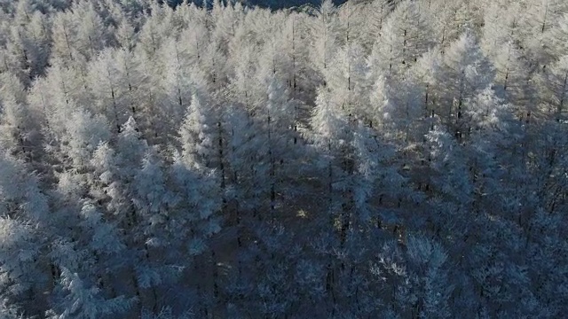 韩白山(江原道省东部最高的山)雪景鸟瞰图视频素材