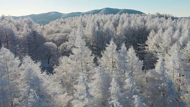 韩白山(江原道省东部最高的山)雪景鸟瞰图视频素材