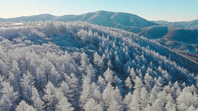 韩白山(江原道省东部最高的山)雪景鸟瞰图视频素材