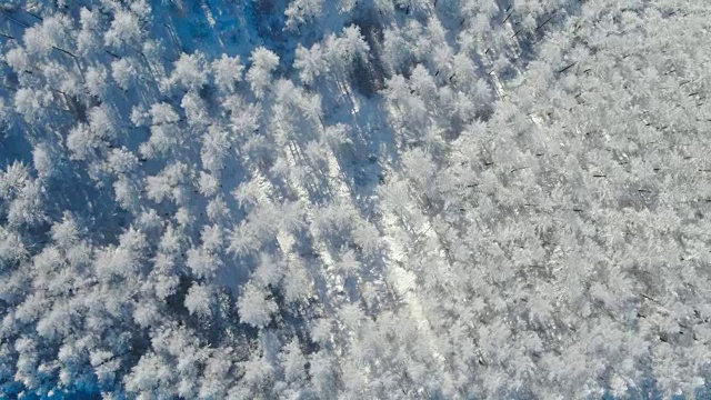 韩白山(江原道省东部最高的山)雪景鸟瞰图视频素材