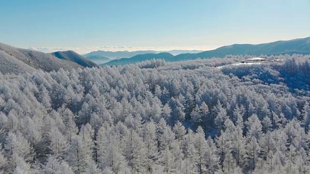 韩白山(江原道省东部最高的山)雪景鸟瞰图视频素材