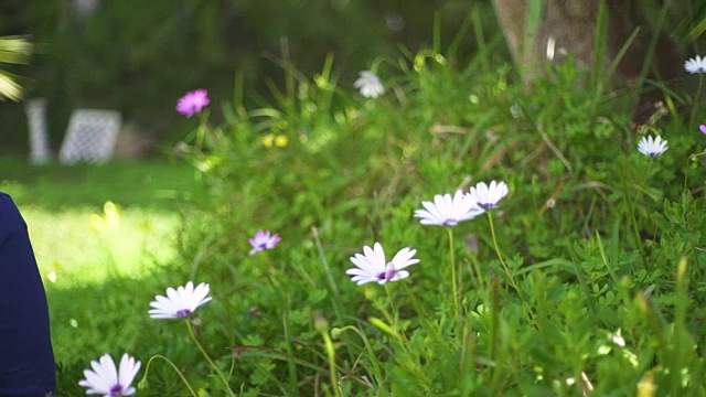 美丽的年轻女子在花园里微笑着，闻着花香视频素材