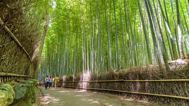 4K延时:岚山的竹林视频素材