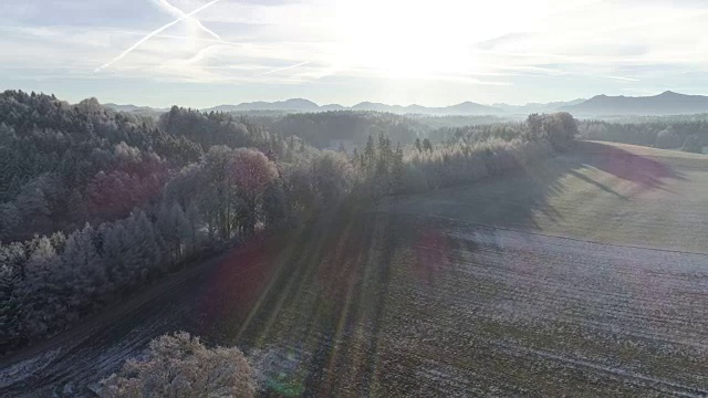 白雪皑皑的冬季景观与森林和山脉视频素材