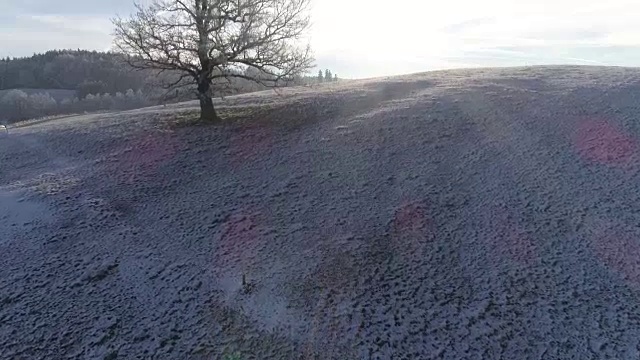 白雪皑皑的冬季景观与森林和山脉视频素材