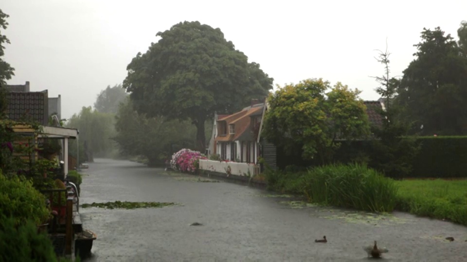 荷兰，格雷夫兰，运河边的老农场，立秋，下雨视频素材