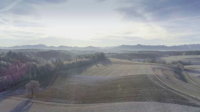 白雪皑皑的冬季景观与森林和山脉视频素材