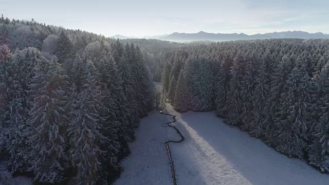 白雪皑皑的冬季景观与森林和山脉视频素材