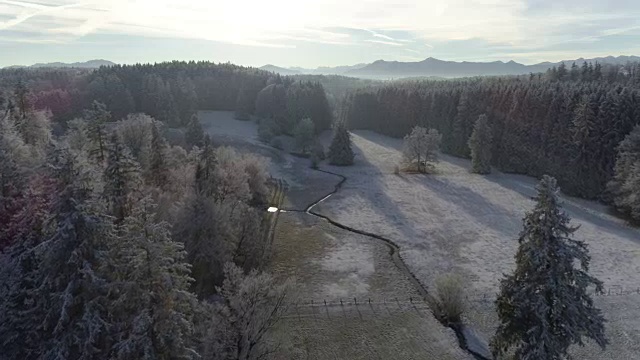 白雪皑皑的冬季景观与森林和山脉视频素材