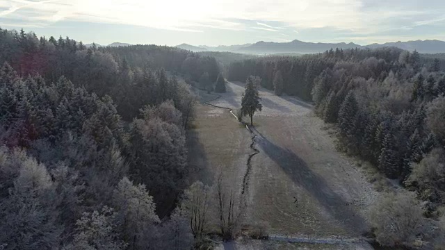 白雪皑皑的冬季景观与森林和山脉视频素材