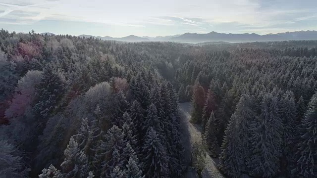 白雪皑皑的冬季景观与森林和山脉视频素材