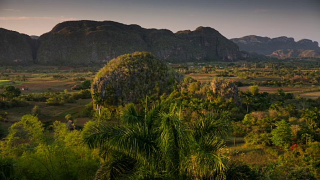 古巴:旅游:在Valle de Viñales，古巴的风景，传统的圆形mogotes山视频素材