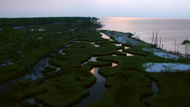 沿岸的海水沿着密西西比的海湾群岛国家海岸流过长满草的沼泽。视频素材