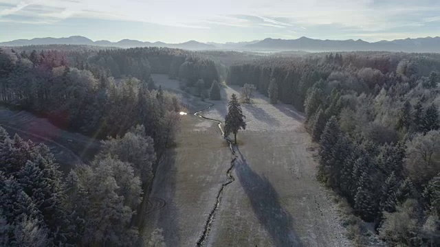 白雪皑皑的冬季景观与森林和山脉视频素材