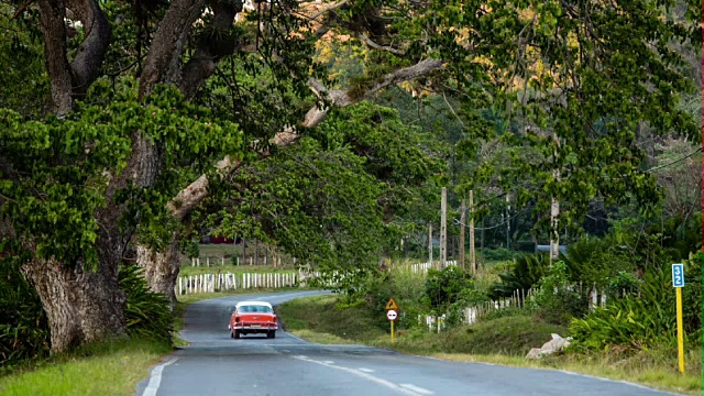 古巴:旅行:乡村公路上的老爷车视频素材