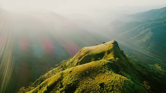 斯里兰卡茶园鸟瞰图视频素材