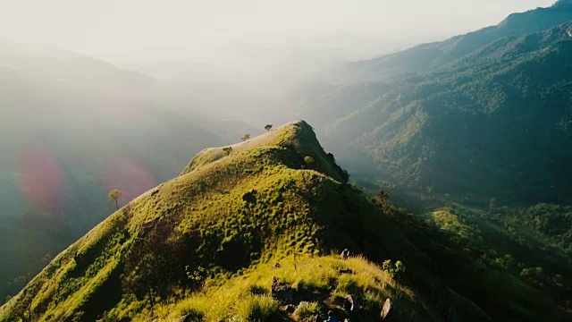 斯里兰卡茶园鸟瞰图视频素材