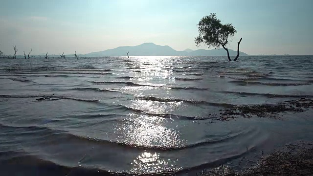 环礁湖视频素材