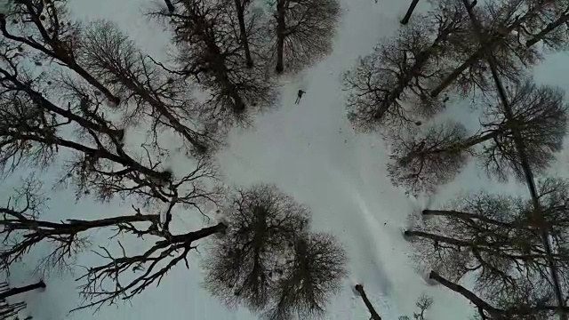 鸟瞰越野滑雪者视频下载