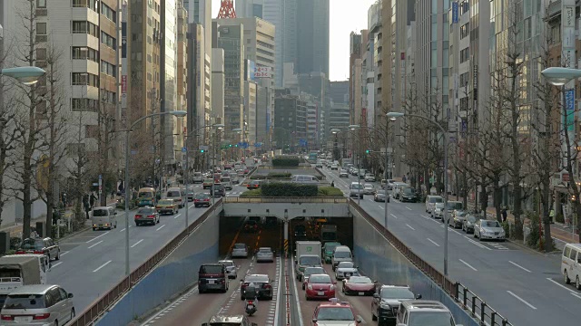 日本东京昭和街的交通状况视频素材