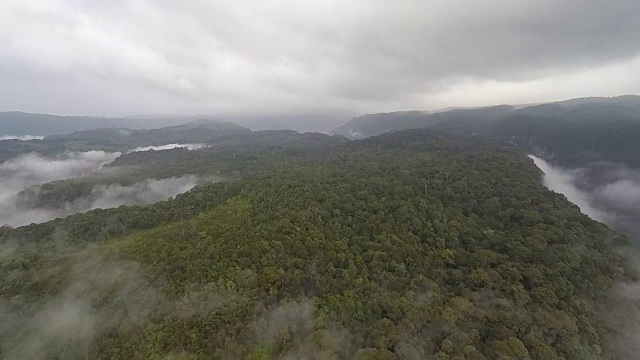 飞越苏门答腊热带雨林视频素材