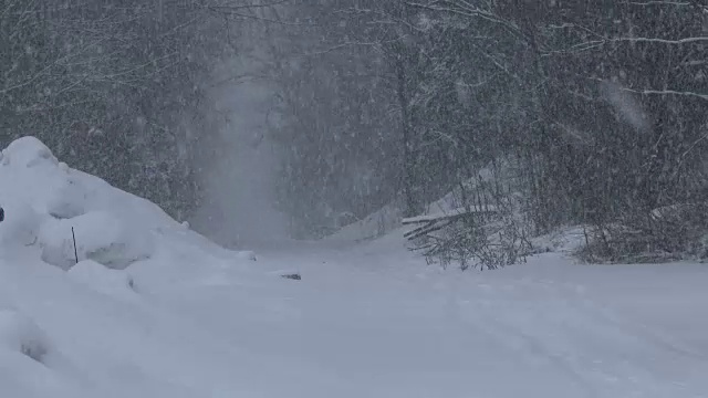 暴风雪，大雪，白茫茫的条件-湖效应暴风雪视频素材