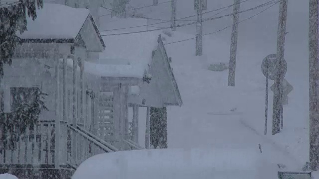 暴风雪，大雪，白茫茫的条件-湖效应暴风雪视频素材