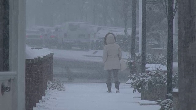 暴风雪，大雪，白茫茫的条件，冬季风暴-东北视频素材