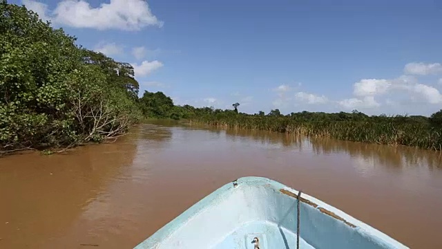 船首的POV在泥泞的河流上通过森林和沼泽。视频素材