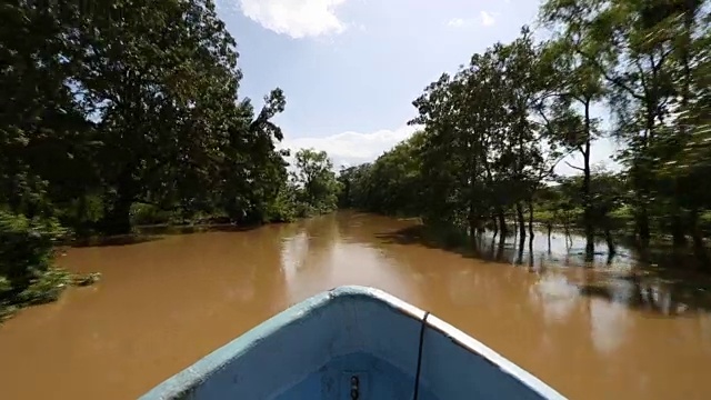 船首的POV在泥泞的河流上通过森林和沼泽。视频素材