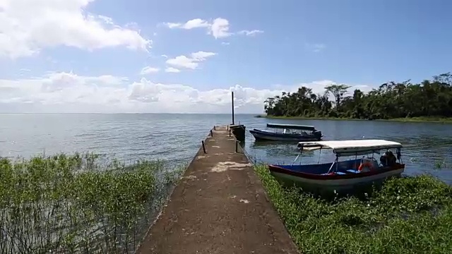 稳定的摄像头POV的码头与五颜六色的渔船湖上森林的背景。视频素材