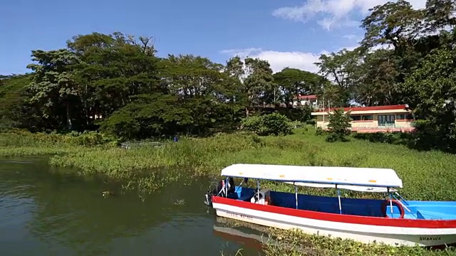 在森林岛屿的海岸线上拍摄的彩色渔船。视频素材