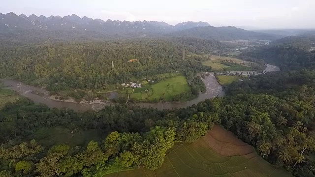 飞稻田和苏门答腊岛的野生地区视频下载