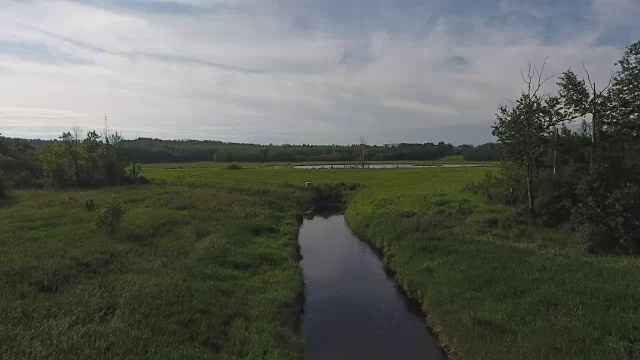 鸟瞰图的鱼塘休闲区视频素材