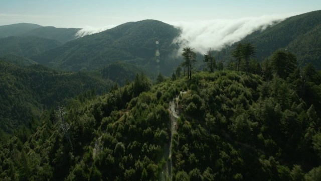 加州六河国家森林的山地景观。视频素材