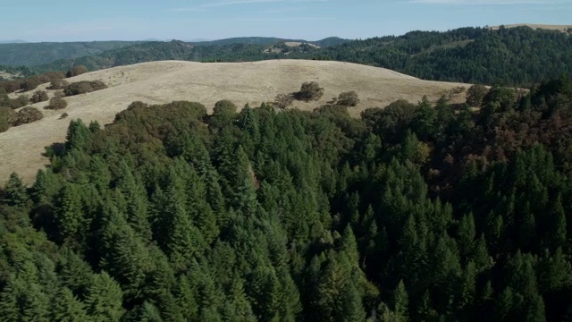 秃山，加州洪堡县北部海岸山脉的山麓。视频素材