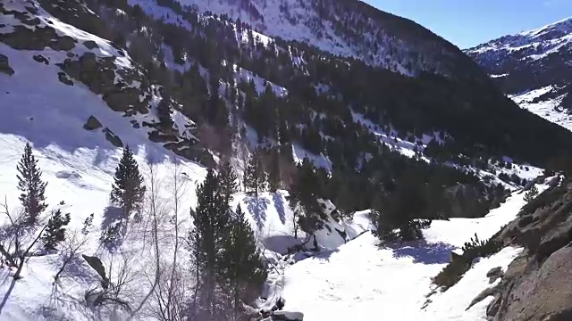 鸟瞰图雪山，松树和一个山谷视频素材