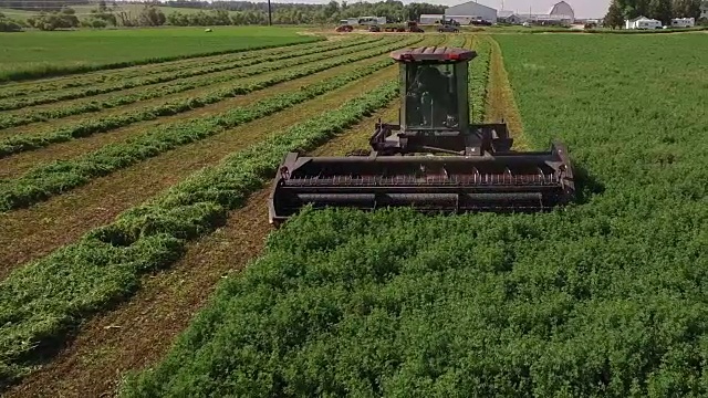 低拖拉机向后飞行，玉米田和农业生产如玉米，小麦，大豆，向日葵，葡萄园与拖拉机，伐木4K视频视频素材