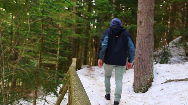 冬天，在加泰罗尼亚比利牛斯山脉冷杉林之间的美丽雪景中，徒步旅行和探索山脉的家伙。视频素材