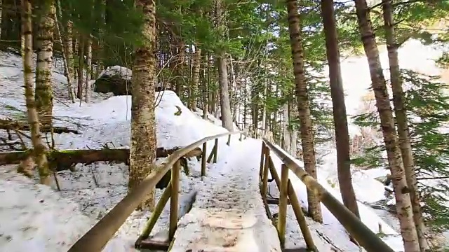 盖伊做徒步旅行和探索从个人的角度在美丽的雪景之间的加泰罗尼亚比利牛斯松林在冬天。视频素材