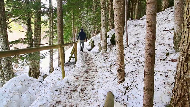 冬天，在加泰罗尼亚比利牛斯山脉冷杉林之间的美丽雪景中，徒步旅行和探索山脉的家伙。视频素材