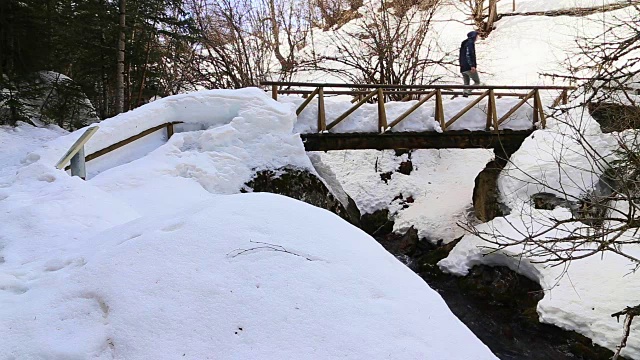 冬天，在加泰罗尼亚比利牛斯山脉冷杉林之间的美丽雪景中，徒步旅行和探索山脉的家伙。视频素材