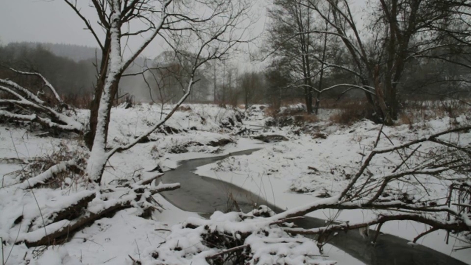 一条小溪蜿蜒地穿过白雪覆盖的森林。视频素材