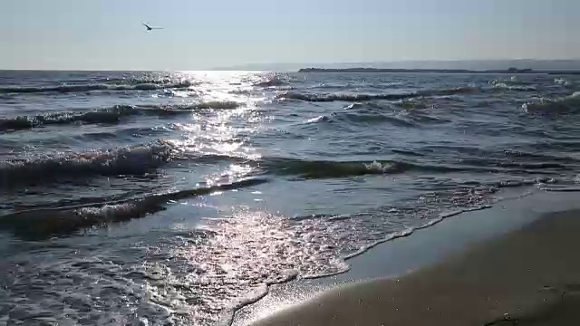 日落海滩视频下载