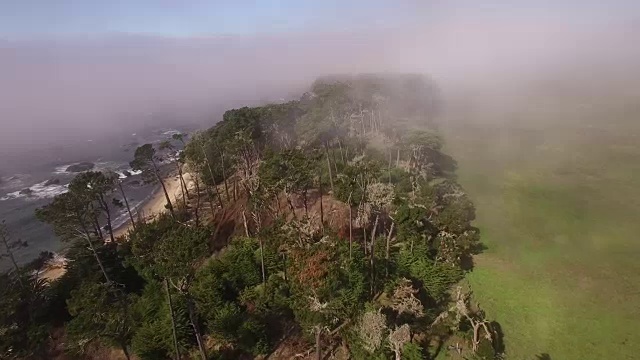 飞越树木进入雾，空中，4K, 50, 8of14，海洋海滩，雾，树，灯塔撞击海浪，揭示，股票视频销售-无人机发现llc-无人机航拍视图视频素材