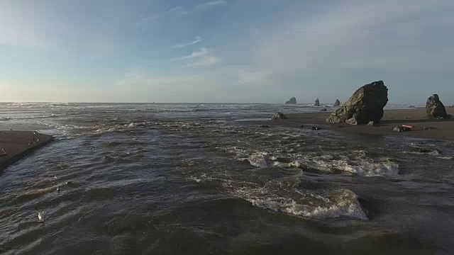 海河口鸟陆地海豹，跟着鸟到海滩，空中，4K, 33秒，5 / 26，股票视频销售-无人机发现-无人机鸟瞰图视频素材